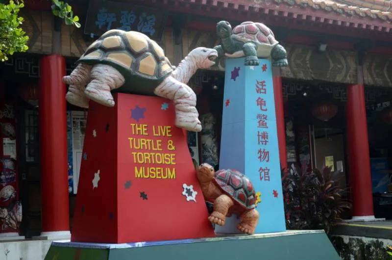 Guest post: the Turtle Museum, Chinese Garden and Japanese Garden all in one (Singapore) Guest post: the Turtle Museum, Chinese Garden and Japanese Garden all in one (Singapore) - Singapore -
