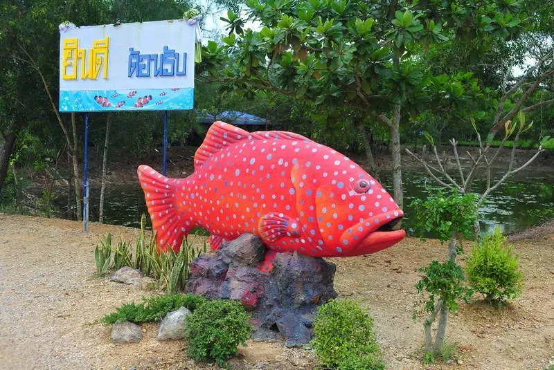 Where the fish get freaky — Destination: Krabi Coastal Fisheries Research and Development Centre (Thailand) - Thailand -