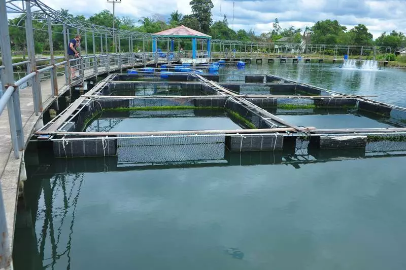 Where the fish get freaky — Destination: Krabi Coastal Fisheries Research and Development Centre (Thailand) - Thailand -