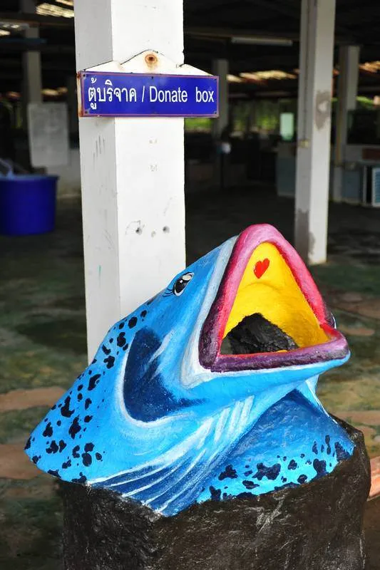 Where the fish get freaky — Destination: Krabi Coastal Fisheries Research and Development Centre (Thailand) - Thailand -