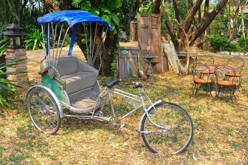 Destination: the Siam Fighting Fish Gallery — the only one of its kind in the world (Bangkok, Thailand) Destination: the Siam Fighting Fish Gallery — the only one of its kind in the world (Bangkok, Thailand) - Thailand -