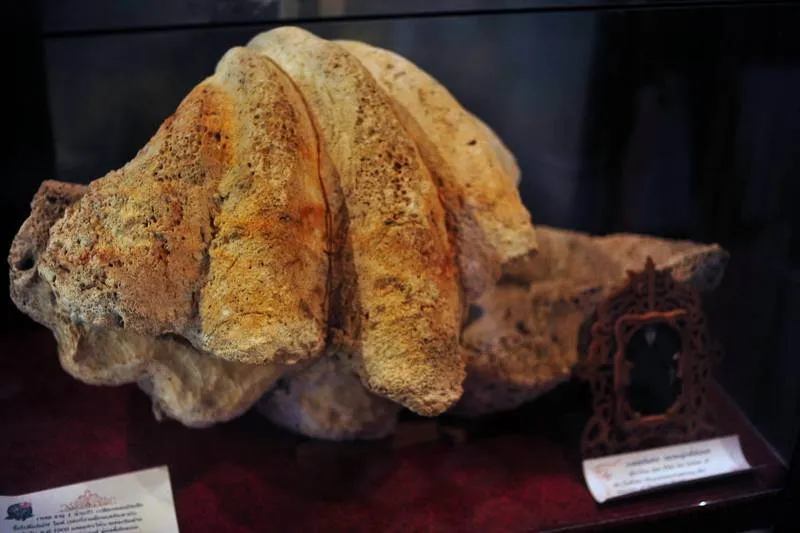 Destination: Thavorn Hotel Lobby Museum — two steps to go decades back in time (Phuket, Thailand) - Thailand -