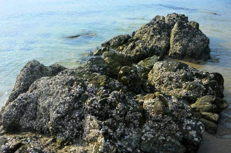 How to get to Koh Jum / Ko Jum — take a step back in time (Thailand) How to get to Koh Jum / Ko Jum — take a step back in time (Thailand) - Thailand -