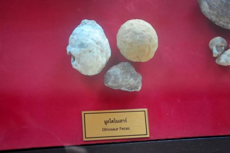 Destination: Phuket Mining Museum — a curious case of pink buildings (Thailand) - Thailand -