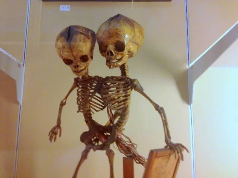 The 10 creepiest places in Europe - Austria, Czechia, France, Italy -