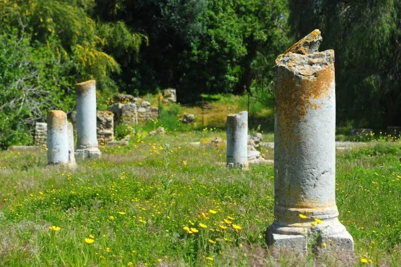 Destination: Carthage, Tunisia Destination: Carthage, Tunisia - Tunisia -