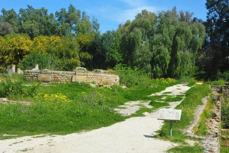 Destination: Carthage, Tunisia Destination: Carthage, Tunisia - Tunisia -