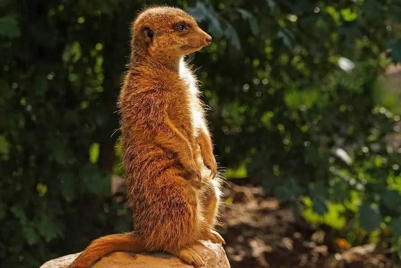 26 Safety Tips While Traveling, From A to Z 26 Safety Tips While Traveling, From A to Z - Getting Around -