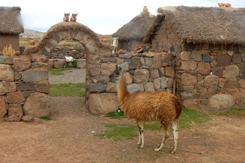 Destination: Puno, Peru – Lake Titicaca, a temple of penises, and ancient burial towers (Peru) - Peru -