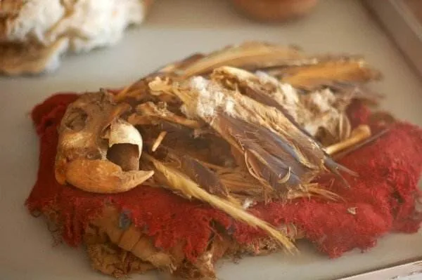 16 of the best mummies and skulls we saw in Peru DSC_5401