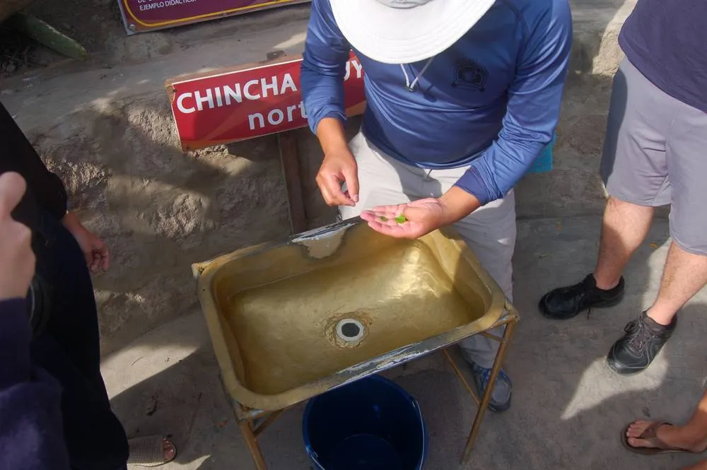 Destination: the equator – and our search to find the middle of the earth in Ecuador  width=