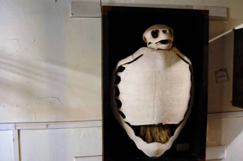 See the Florida castle built with aluminum printing plates — Destination: Solomon’s Castle (USA) - United States -