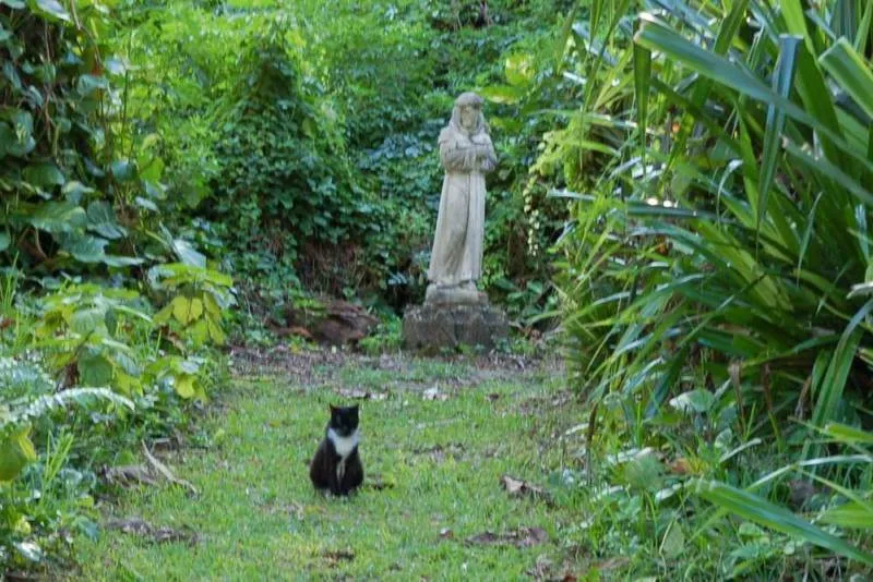 One of America’s oldest buildings comes from Medieval times — see the Cloisters of the Ancient… One of America’s oldest buildings comes from Medieval times — see the Cloisters of the Ancient… - United States -