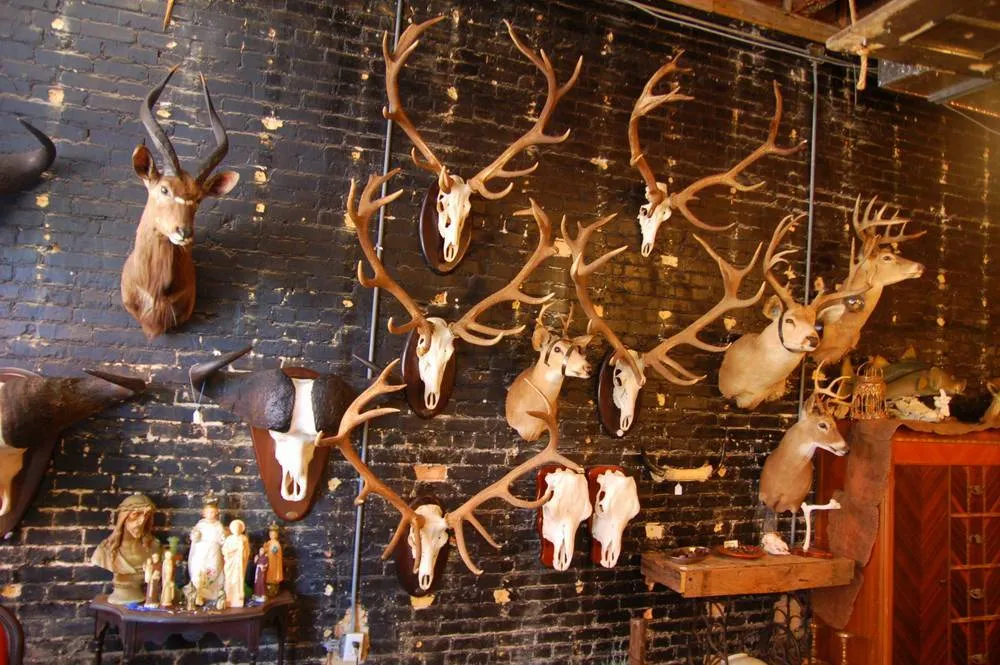 The Florida ‘stop-bys’ round two – 9 MORE places worth a few minutes apiece The Florida ‘stop-bys’ round two – 9 MORE places worth a few minutes apiece - United States -