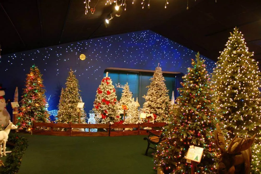 The Florida ‘stop-bys’ round two – 9 MORE places worth a few minutes apiece The Florida ‘stop-bys’ round two – 9 MORE places worth a few minutes apiece - United States -