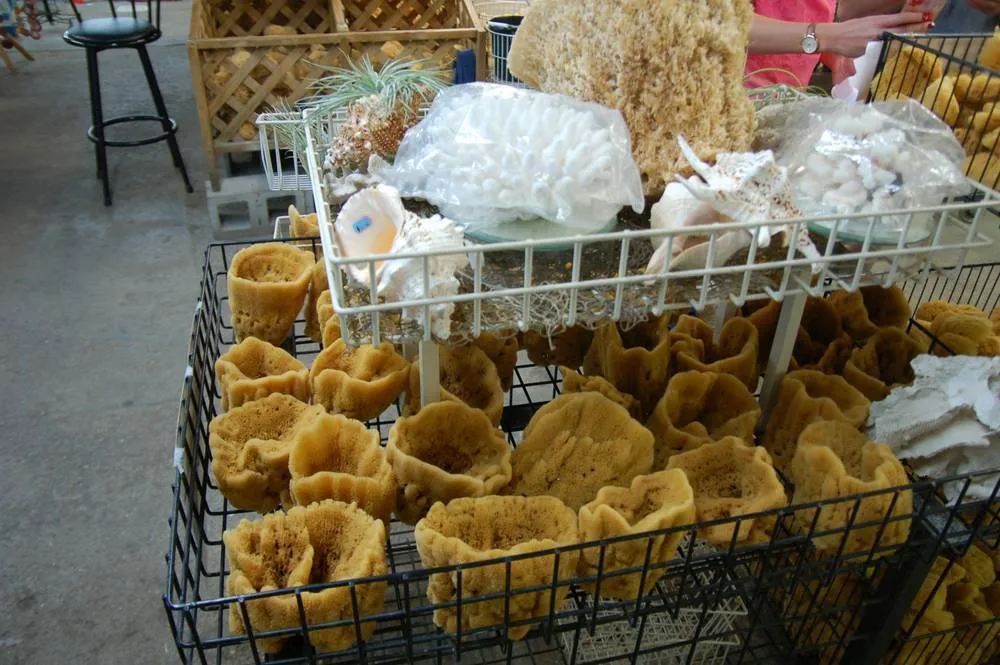 The Florida ‘stop-bys’ round two – 9 MORE places worth a few minutes apiece The Florida ‘stop-bys’ round two – 9 MORE places worth a few minutes apiece - United States -