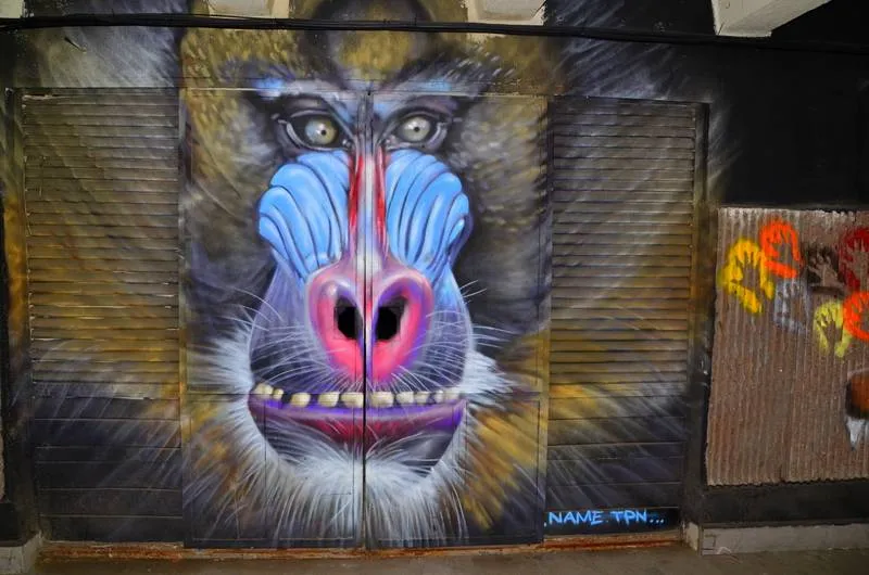 Tbilisi, Georgia, in street art Tbilisi, Georgia, in street art - Georgia - street art