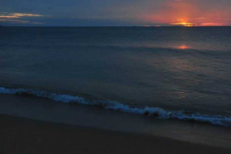 A clowder of cats and a pack of dogs — Destination: Ko Lanta Animal Welfare Centre (Thailand) - Thailand -