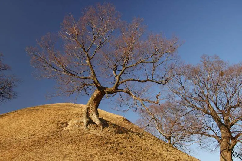 Destination: Tomb hunting in Gyeongju (Gyeongsangbuk-do, South Korea) - South Korea -
