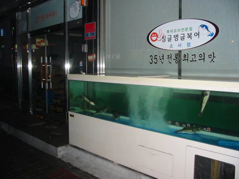 2020-01-152-5289_img