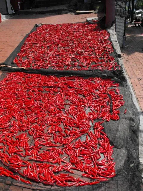 Destination: Wolmi-do - an island at the end of the subway line (Incheon, South Korea) Destination: Wolmi-do - an island at the end of the subway line (Incheon, South Korea) - South Korea -