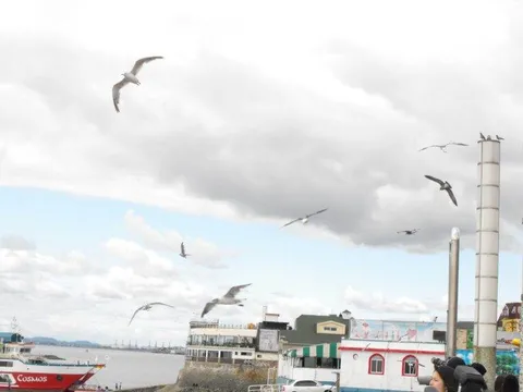 Destination: Wolmi-do - an island at the end of the subway line (Incheon, South Korea) Destination: Wolmi-do - an island at the end of the subway line (Incheon, South Korea) - South Korea -