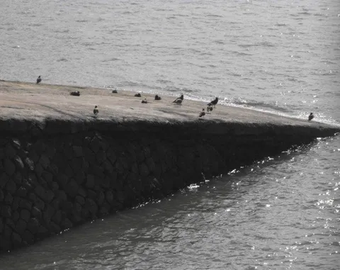 Destination: Wolmi-do - an island at the end of the subway line (Incheon, South Korea) Destination: Wolmi-do - an island at the end of the subway line (Incheon, South Korea) - South Korea -