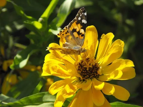 Destination: Seoul Land - a great amusement park inside another park (South Korea) - South Korea -