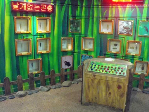 Destination: Seoul Grand Park (part 3) - South Korea -