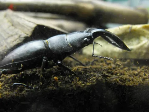 Destination: Seoul Grand Park (part 3) - South Korea -