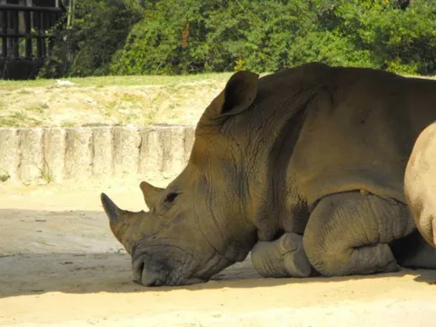 Destination: Seoul Grand Park (part 3) - South Korea -