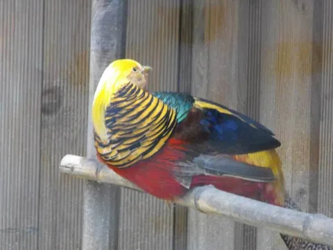 Destination: Seoul Grand Park (part 3) - South Korea -