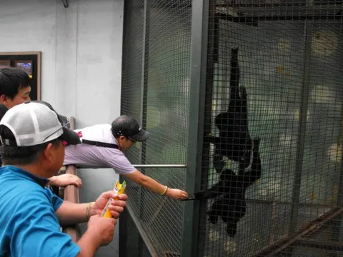 Destination: Seoul Grand Park (part 3) - South Korea -