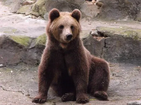 Destination: Seoul Grand Park (part 3) - South Korea -