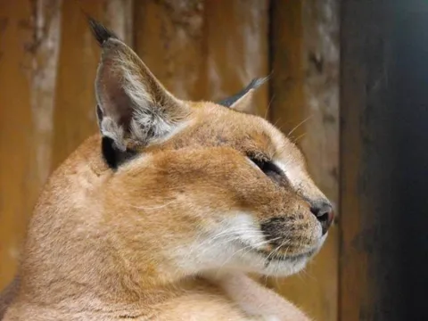 Destination: Seoul Grand Park (part 3) - South Korea -