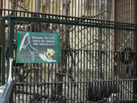 Destination: Seoul Grand Park (part 3) - South Korea -