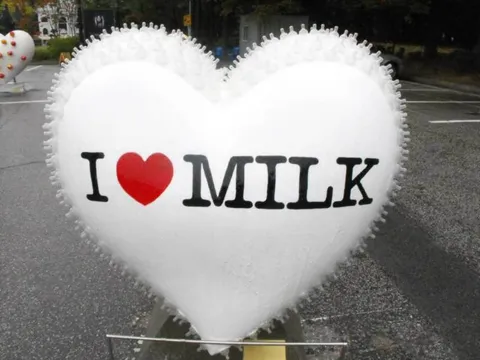 Destination: Seoul Design Olympiad (2008) (South Korea) - Festivals, South Korea -