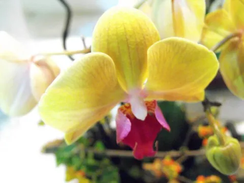 Destination: Seoul Design Olympiad (2008) (South Korea) - Festivals, South Korea -