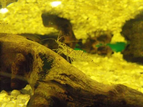 Destination: Lotte World - South Korea's biggest indoor amusement park (Seoul, South Korea) - South Korea -