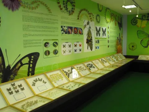 Destination: Lotte World - South Korea's biggest indoor amusement park (Seoul, South Korea) - South Korea -