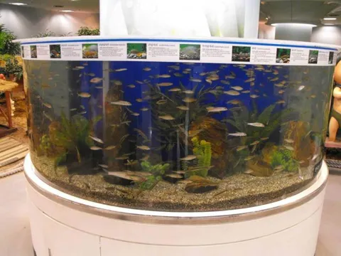 Destination: Lotte World - South Korea's biggest indoor amusement park (Seoul, South Korea) - South Korea -