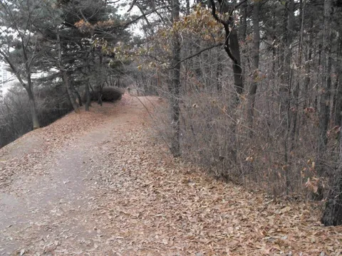 Destination: an exploration of Bundang - South Korea -