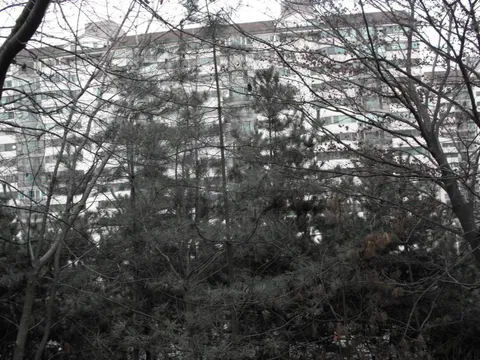 Destination: an exploration of Bundang - South Korea -