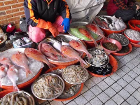 Destination: Tongyeong - a southern seaside town celebrating plenty of history (South Korea) - South Korea -