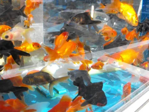 Destination: Tongyeong - a southern seaside town celebrating plenty of history (South Korea) - South Korea -