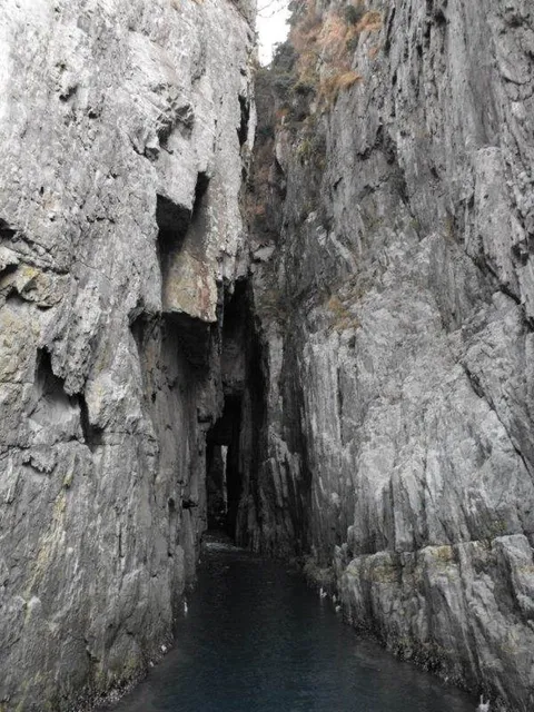 Destination: Geoje-do / Oedo Paradise Island - a gorgeous destination in South Korea - South Korea -