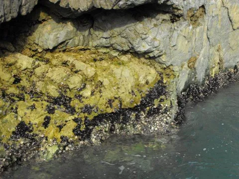 Destination: Geoje-do / Oedo Paradise Island - a gorgeous destination in South Korea - South Korea -