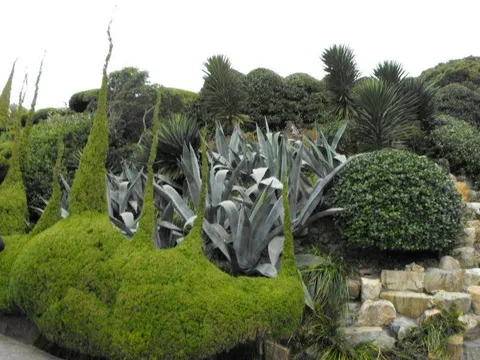 Destination: Geoje-do / Oedo Paradise Island - a gorgeous destination in South Korea - South Korea -