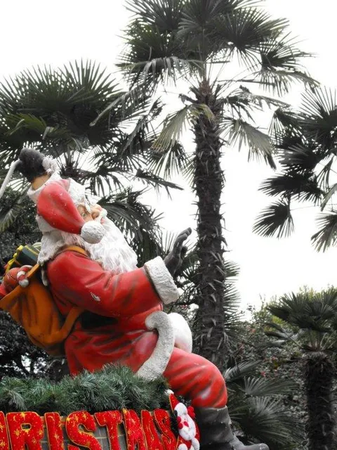 Destination: Geoje-do / Oedo Paradise Island - a gorgeous destination in South Korea - South Korea -