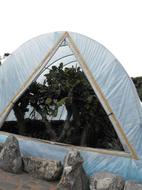 Destination: Geoje-do / Oedo Paradise Island - a gorgeous destination in South Korea - South Korea -